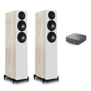 WiiM(윔) AMP Pro + 와피데일 Diamond 12.3 하이파이 네트워크 오디오