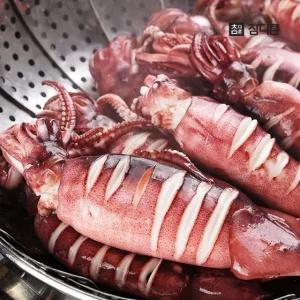 참다른 국내산 한입 오징어 500g(4-6미내외) x 2팩