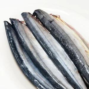 냉동 손질 꽁치 500g 구이용 조림용 찜용