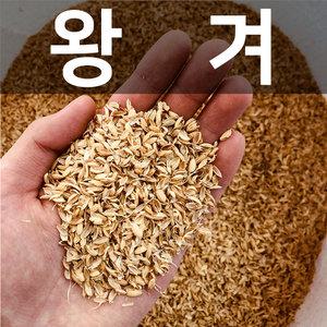 프리미엄 왕겨 100L