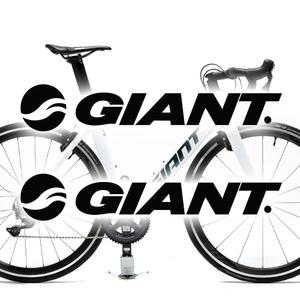 자이언트 스티커(구)(2개1세트)-데칼 로고 자전거 MTB 사이클 로드 Giant