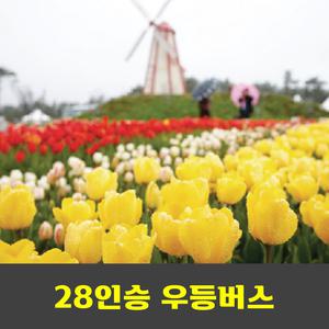 태안 튤립축제. 태안해변길 국립공원 안내산악회
