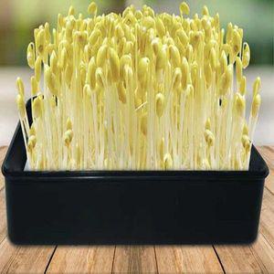새싹 재배기 콩나물 키우기 무순 기르기 사각 블랙 새싹재배 재배 새싹키우기 채소키우기