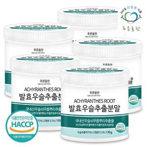 국산 발효 우슬 추출 추출물 분말 가루 haccp 인증 170gx5통
