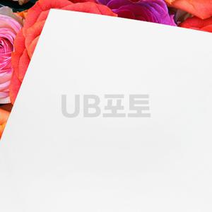 UB포토 컬러레이저용 인화지 양면인쇄 포토용지 사진인화지 180g A4 20매