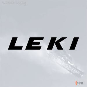 LEKI 스티커/레키/폴/등산/스틱/반사/회전/대회전/길이조절/장갑/월드컵/지팡이/스키/