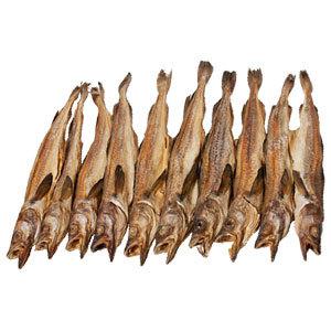 용대리 황태 통황태 10미 (47Cm 이상)
