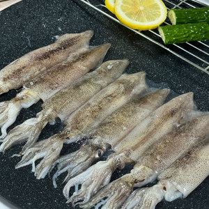 통찜용 물회 선동 생물 총알 한치 1kg(34미내외) 1팩