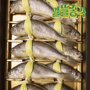 영광 법성포 참굴비 20미 1.8kg(중) 19cm내외