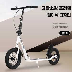 리온 수동킥보드 수동 출퇴근용 성인 두발킥보드