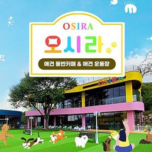 오시라 애견카페 반려견/보호자 이용권(~2025.08.31)