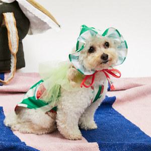 [루이독] 루이독 Pool 클럽/워터멜론 보넷