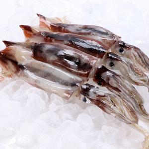 냉동 오징어 9-11미 3kg