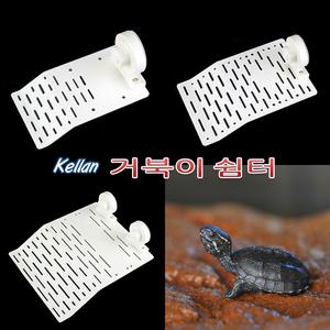 켈란 거북이쉼터/거북섬/터틀쉼터/터틀계단