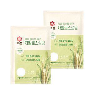 백설 하얀 자일로스 설탕 2kg x2개