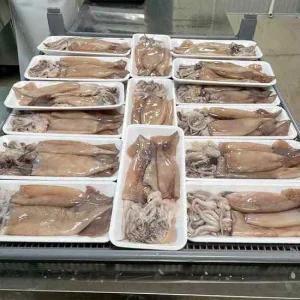 원양산 간편한 냉동 손질 통오징어 2미(350g내외) X 5팩