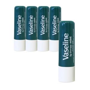 바세린 립 테라피 스틱 민트 4.8g x5개/립밤 립케어