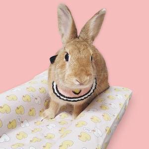 [IXHI89HM_4B]고양이스카프 반려동물 턱받침 A 애견스카프