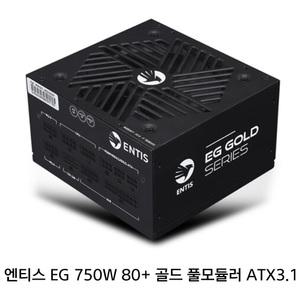 엔티스 파워 EG 750W 80PLUS GOLD 풀모듈러 ATX3.1 파워서플라이