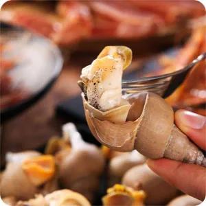 [늘싱싱제철] 울진 후포항 당일조업 자연산 백골뱅이 백고동 생물 1kg