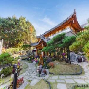 [충남 펜션] 공주 솔향펜션 (공주,동학사,세종)