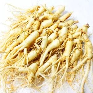 가정용 햇 수삼 세척인삼 난발삼 [小] 12-19편 300g