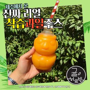 [귤하르방] 제주착즙주스 한라봉/천혜향/청귤에이드 320ml 20병