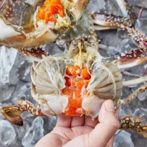 국산 제철 연평도 급냉 냉동 숫꽃게 1kg (중/3~4미)