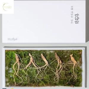 10년근 횡성 산양삼 5뿌리 공단보자기 포함 품격있는선물세트 인삼선물세트