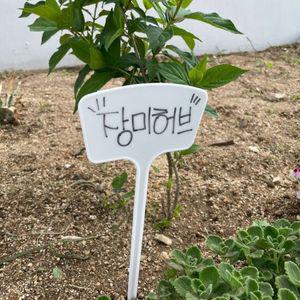 화단 화분 일자형 식물 이름표 팻말 36cm