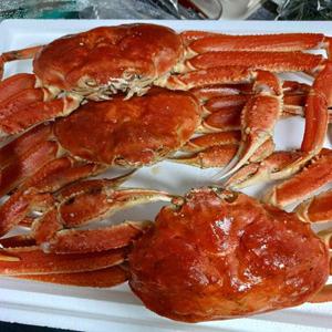 킹크랩 활 자숙 러시아 시세 대게 (떠리자숙대게3kg2미4미)