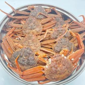 활 빵게 (암대게) 1kg (4-6미 내외) [활 선택]