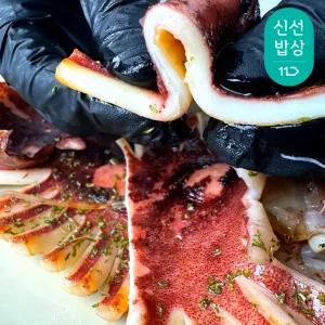 [더이득! 2개이상 5% 할.인.]촉촉 반건조 오징어 특대 5미 / 국내 원양 가공 믿고 먹는 몰먹지 피데기