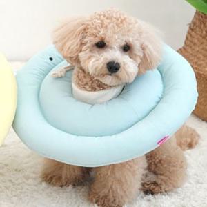 고양이 쿠션 넥카라 블루 M 강아지 깔대기 핥음방지