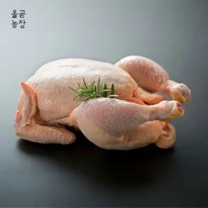 국내산 성계 노계 폐계 1.3kg이상 10마리 씨암탉 삼계 토종닭 큰닭 암닭 12호 13호 14호 15호 16호 닭 대용량 보양식 영양탕 건강식 백숙 기력 좋은 음식 식단