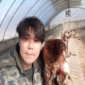 한국인의 밥상이 인정한 계룡산 토종닭  생닭 1.8kg내외  백숙재료(밤,대추,은행) 육수용 닭발 무료제공
