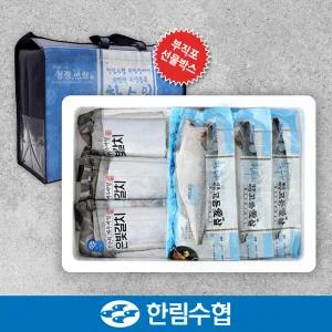 [제주 한림수협] 제주 은갈치 500gx3팩+고등어 180gx5팩+부직포가방