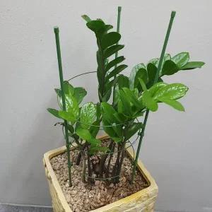 [하프클럽/셀러허브_여성트랜드패션]60cm 화분 텃밭 지지대 식물 원형 식물