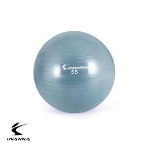 [BZJLG730_4C]안티 피트 짐볼 55cm 블루 더스티