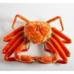 러시아산 프리미엄 자숙 대게 3kg(자숙전 2-3미)