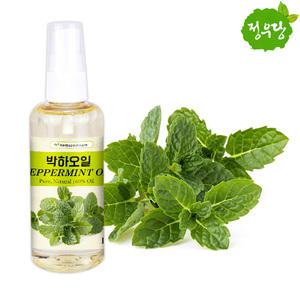 미용 박하오일 100ml 페퍼민트오일  (000890)