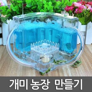 3차원 개미 농장(개미집 체험 학습)