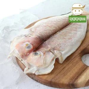 [삼촌밥먹자]제주 연근해 어획 손질 옥돔(중) 8마리