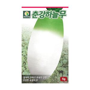 다농 춘강하늘무 씨앗 5g