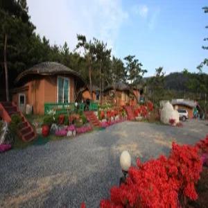 [충남 펜션] 태안 펜션톰과제리 (태안,안면도,서산)