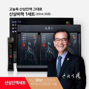 천삼정 산삼비책 고농축 산삼진액 스틱 / 하루 1포 기력회복 체력증진 면역력 강화 세트 식약처 인정원료