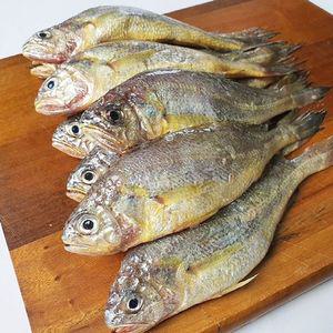 국내산 급냉 참조기 1kg