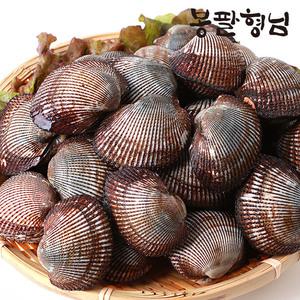 산지채취 피꼬막 (상품) 2kg 제철 별미 피조개