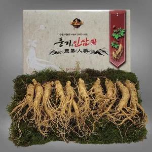 [풍기인삼][9/19(금)순차출고][풍기인삼] 5년근 수삼 1채 750g (8-10뿌리)