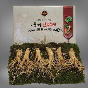 [풍기인삼][9/19(금)순차출고][풍기인삼]  5년근 수삼 1채 500g (6-7뿌리)